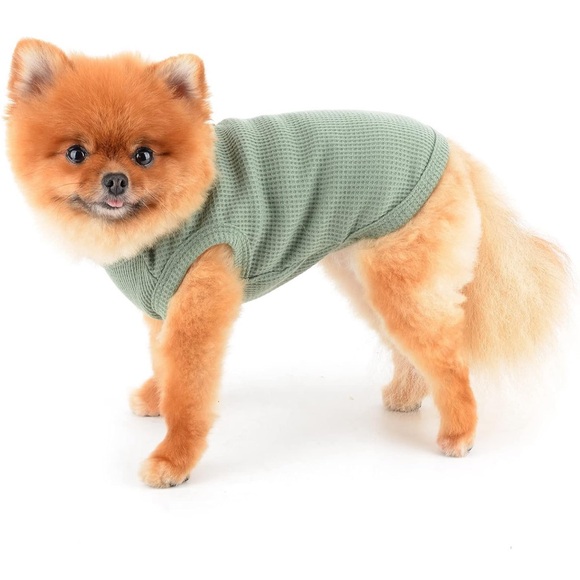 Kawaii Cute Waffle Tee for Small Dogs or Cats - green size XXL *3/$13* - Picture 6 of 14